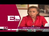 Comentario de María Amparo Casar, sobre las reformas energética y fiscal