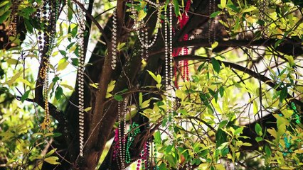 WARD GIRLS Official Documentary