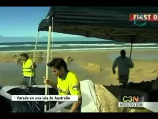 Ballena varada en una isla de Australia