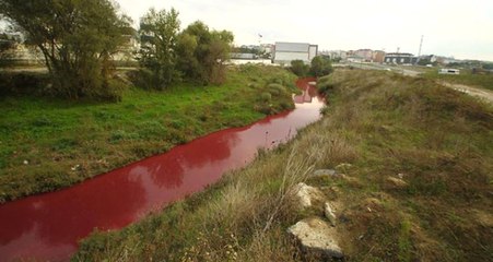 Kimyasal Atık Nedeniyle Dere Kırmızı ve Pembe Akıyor
