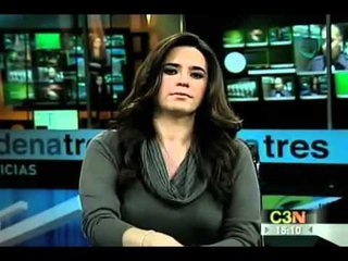 Enjambres de avispas plagan Nuevo Laredo