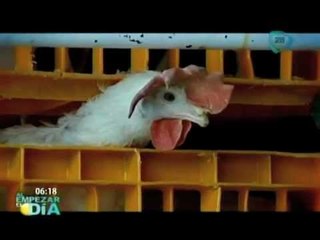 Continúa en Jalisco alerta por brote de gripe aviar