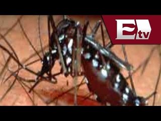 Tabasco registra 5 mil 112 casos de dengue en 2013 / Titulares con Vianey Esquinca