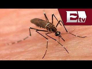 Lluvias en Tabasco dejan mas de 5 mil casos de dengue / Titulares de la Tarde con Mariana y Kimberly