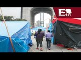 CNTE causa costosos daños en Plaza de la República/Titulares con Georgina Olson