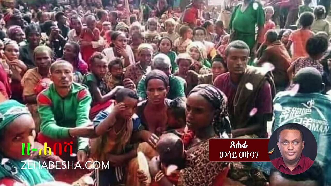 Mesay Mekonnen on TPLF & EPRDF Congress | Benishangul | Welkait | ADP | ODP