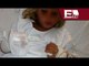Niño atacado por tigre blanco: Investigación especial / Titulares con Vianey Esquinca