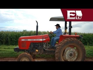 Incremento en Producción Agropecuaria de México / Dinero con Dario Celis