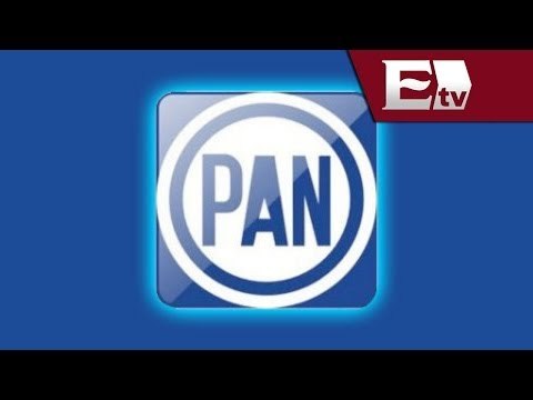 Detectan irregularidades económicas durante auditoría al PAN / Andrea Newman