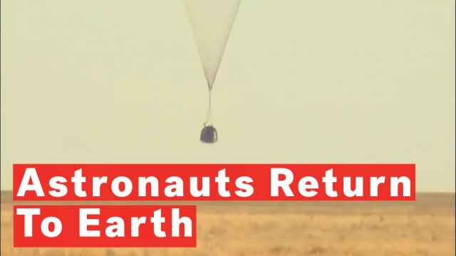 Watch Moment NASA Astronauts Touchdown On Earth After 197 Days In Space