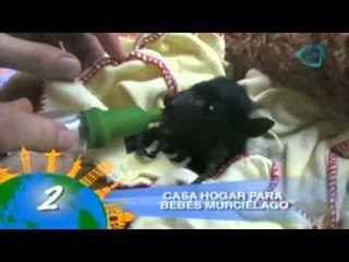 ¡¡La nariz predice tu muerte!! / 5 maravillas del mundo