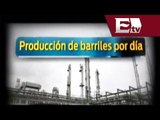 Reforma energética: México en la producción petrolera / Mariana H y Kimberly Armengol