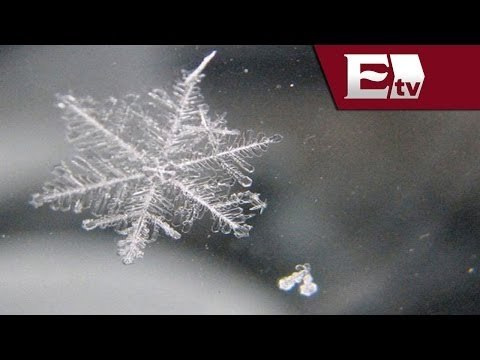 Impresionantes imágenes de copos de nieve / Tendencias de las redes sociales