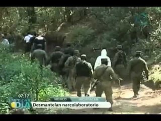 Desmantelan narcolaboratorio en Michoacán