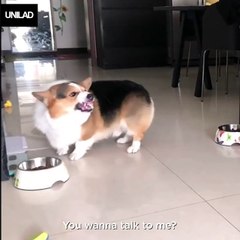 Pretty much every argument that has ever taken place on the internet Ozzy Man Reviews/Newsflare