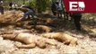 Suman 62 cadáveres exhumados en fosas Clandestinas de Jalisco / Mariana H y Kimberly Armengol