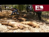 Suman 62 cadáveres exhumados en fosas Clandestinas de Jalisco / Mariana H y Kimberly Armengol