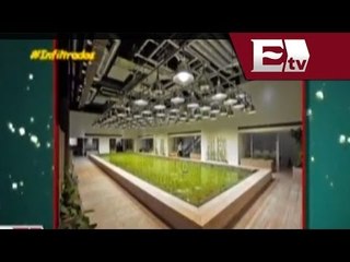 Arquitectura verde en Japón/Infiltrados con Josefo Velázquez