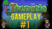 Terraria Gameplay - Lets Play - #1 (Homer Simpson Slime?!?!?!) - [Walkthrough / Playthrough]