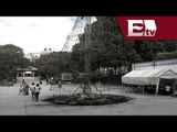 Queman árbol de Navidad en Chilpancingo, Guerrero / Titulares de la noche