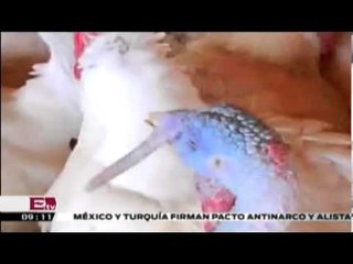 Entrevista con Marco Antonio Parson / Dinero con Dario Celis