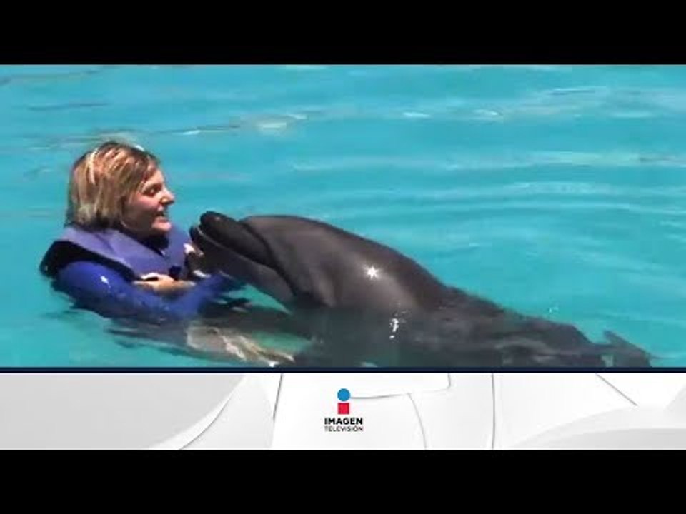 Mazatlán y Los Cabos. De Tour 19/01/13