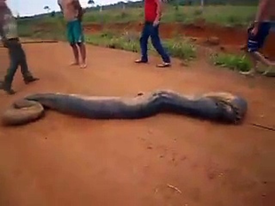Vai vendo isso...
