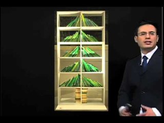 Sección Josefo- Diferentes tonalidades en el color de la piel