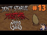 Don't Starve Together with Friends Gameplay [Season 2] - Let's Play - #13 (Spring TIME!) - [60 FPS]