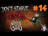 Don't Starve Together with Friends Gameplay [Season 2] - Let's Play - #14 (The big hunt!) - [60 FPS]