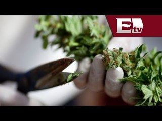 Colorado inicia venta de mariguana / Titulares de la mañana