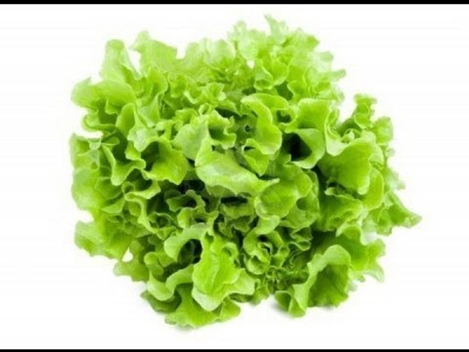 ¿Cómo desinfectar la lechuga?