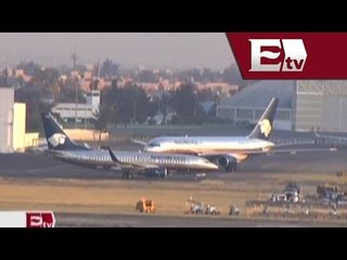 Ssa DF agilizará trámites de entrada y salida de cadáveres en el AICM/ Comunidad Yazmin Jalil