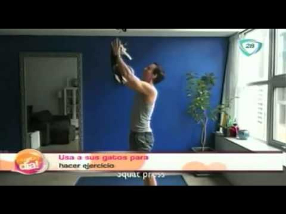 Nueva forma de hacer ejercicio con animales / Ejercicios con gatos / Exercises with cats
