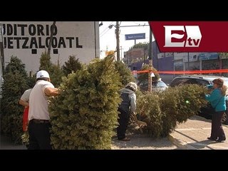 Iztapalapa reúne y recicla más de 7 mil árboles de navidad/ Comunidad Yazmin Jalil
