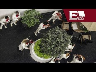 Fiesta en el Senado: Fuertes crítica al senador Preciado / Titulares con Vianey Esquinca