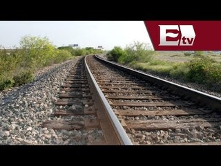 Diputados aprueban Ley reglamentaría del Servicio Ferroviario  / Mario Carbonell