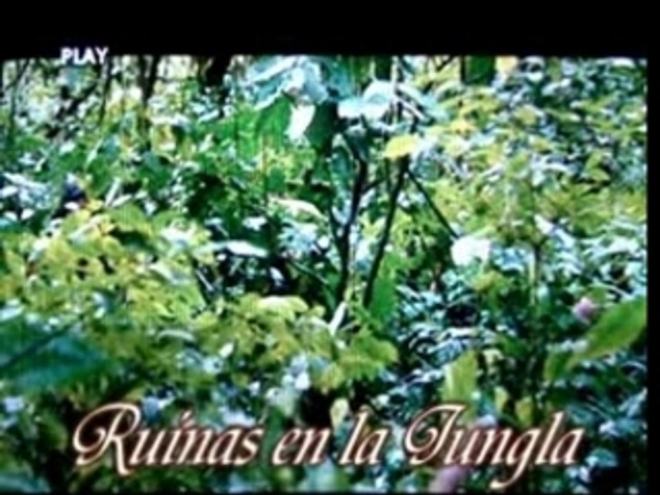 Ruinas en la Jungla
