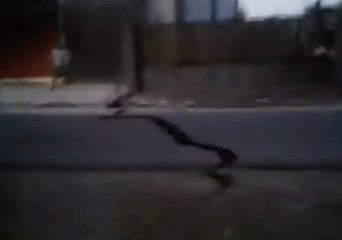 Footage Shows Moment Earthquake and Mud Waves Struck Central Sulawesi Village