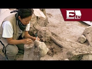 Encuentran colmillo de mastodonte en Tlaxcala / Titulares de la noche