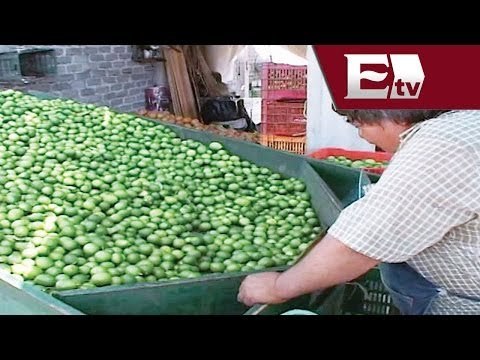 Autodefensas recuperan el tianguis limonero en Michoacán / Todo México