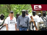 Legalización de autodefensas en Michoacán / Opiniones Encontradas