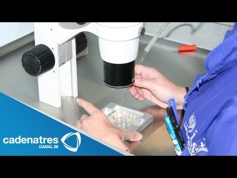 Congelación de óvulos con la Dra. Alejandra Bermudez / Exclusivas de cocinemos juntos