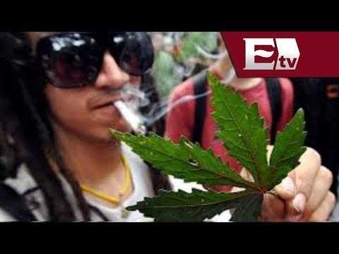 Diputados rechazan iniciativa en consumo de marihuana / Andrea Newman