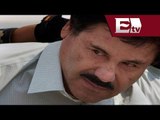 Chapo Guzmán: Se ampara para no ir a Estados Unidos / Chapo Guzmán 2014