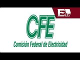CFE reporta perdidas durante el 2013/Dinero con Dario Celis