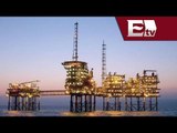 Anuncian fraude a Pemex por empresa Oceanografía / Mario Carbonell