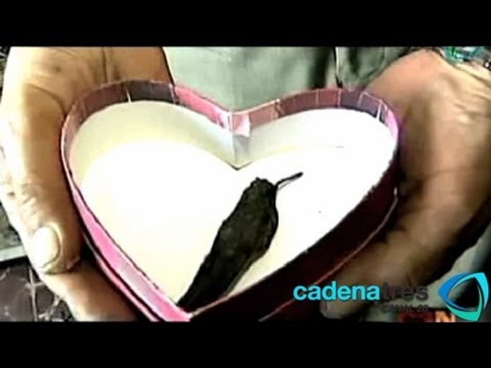 Los amarres amorosos. Mitos y ritos