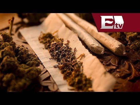 Presentan iniciativa para regular el consumo de la marihuana en México / Ricardo y Gwendolyne