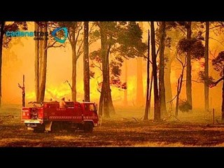 Incendio forestal en Australia